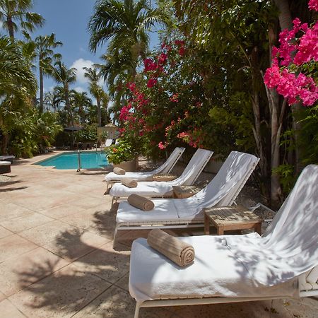 Paradera Park Aruba Oranjestad Exteriér fotografie