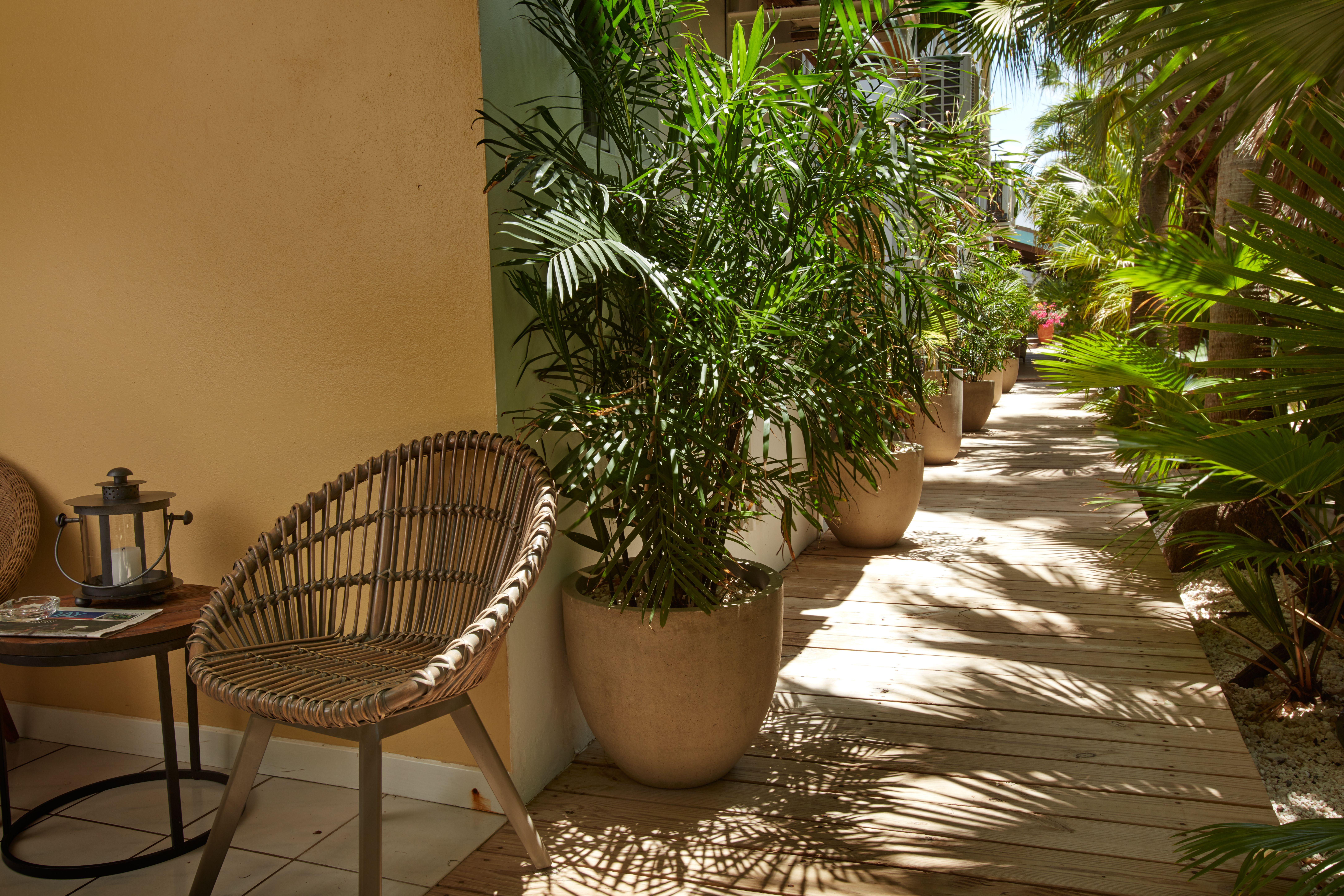 Paradera Park Aruba Oranjestad Exteriér fotografie
