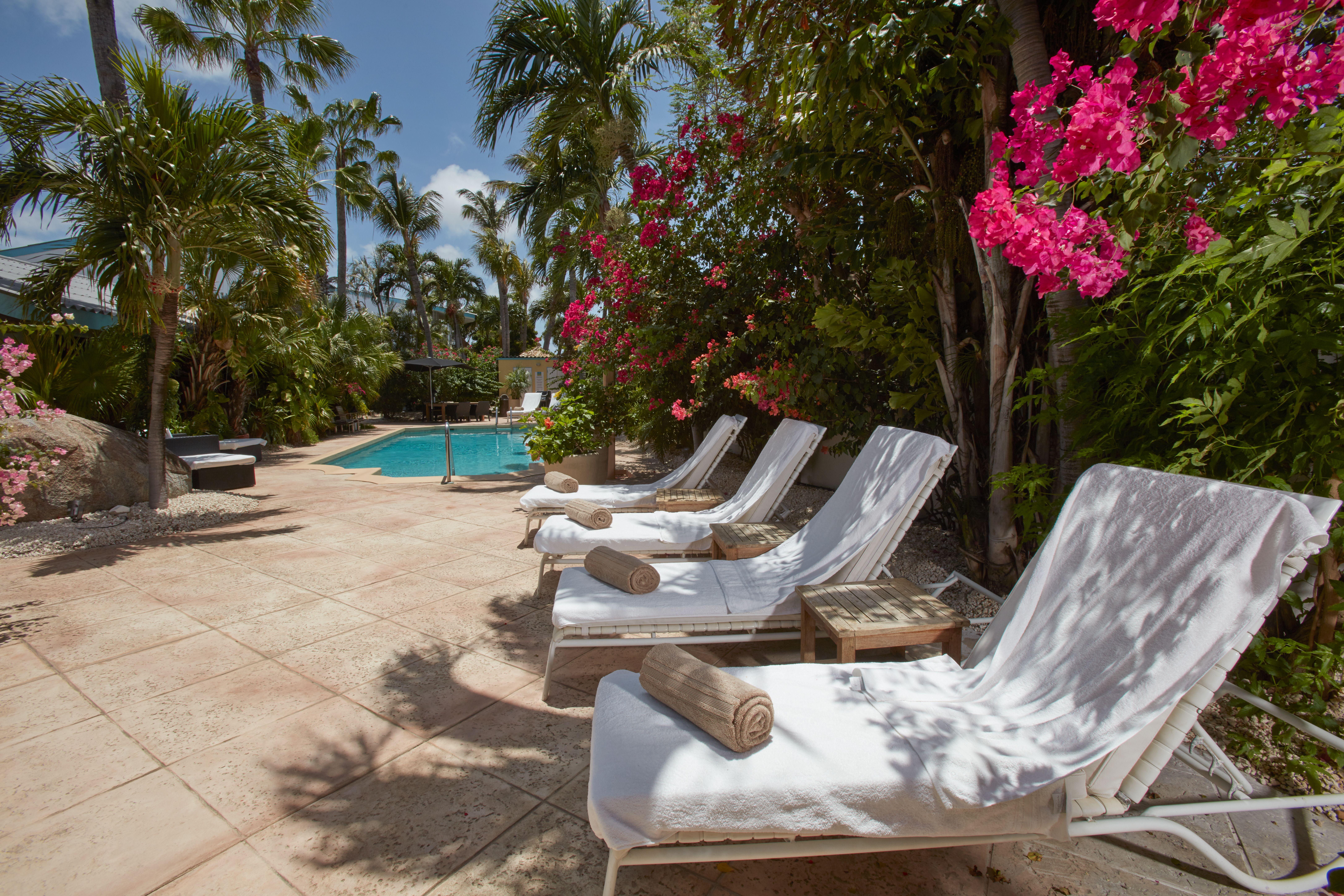 Paradera Park Aruba Oranjestad Exteriér fotografie