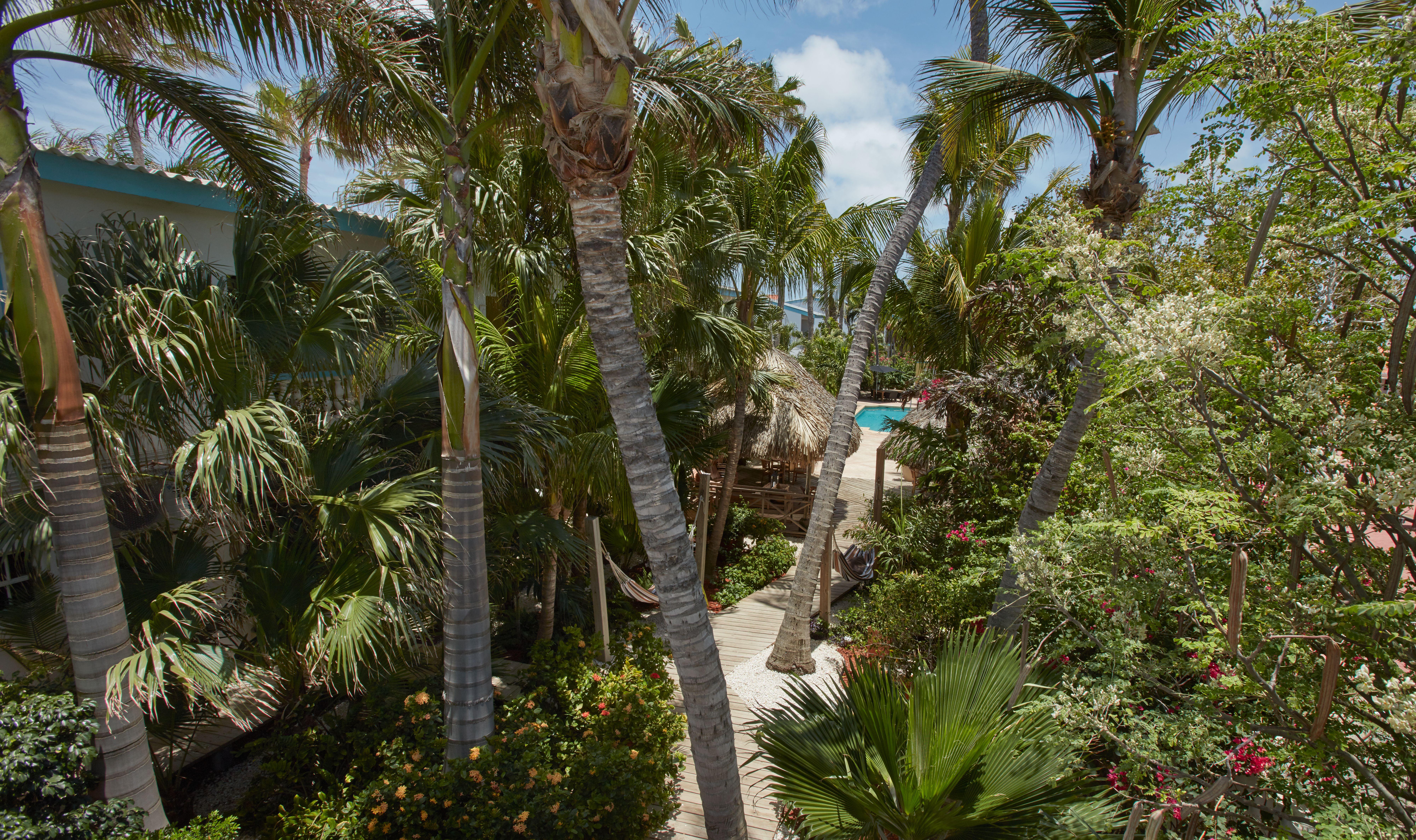 Paradera Park Aruba Oranjestad Exteriér fotografie