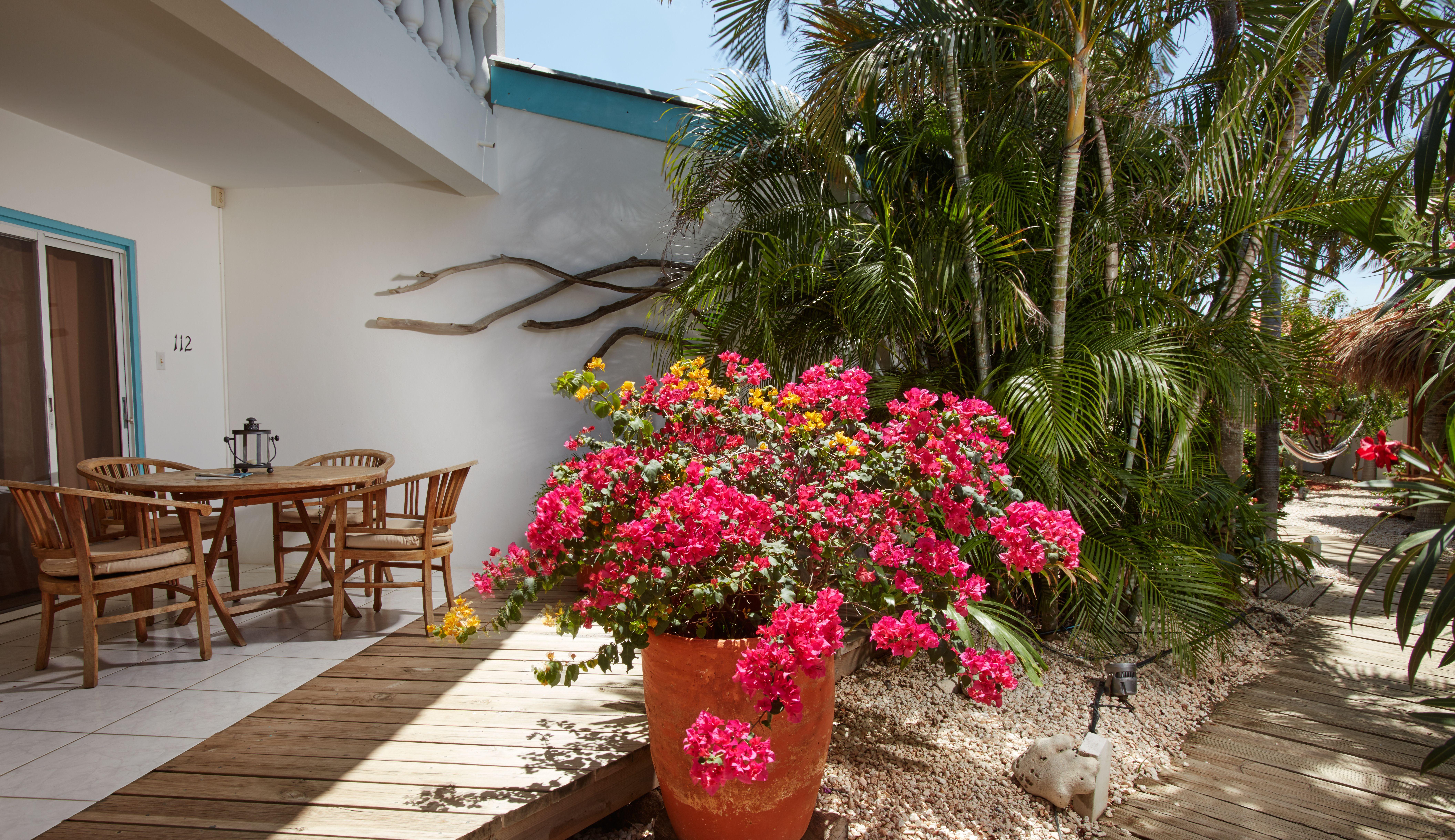 Paradera Park Aruba Oranjestad Exteriér fotografie